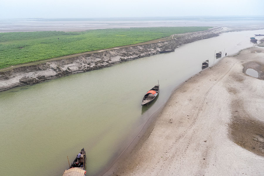 Tobacco Farming Increase Impacting Fish in Bangladesh