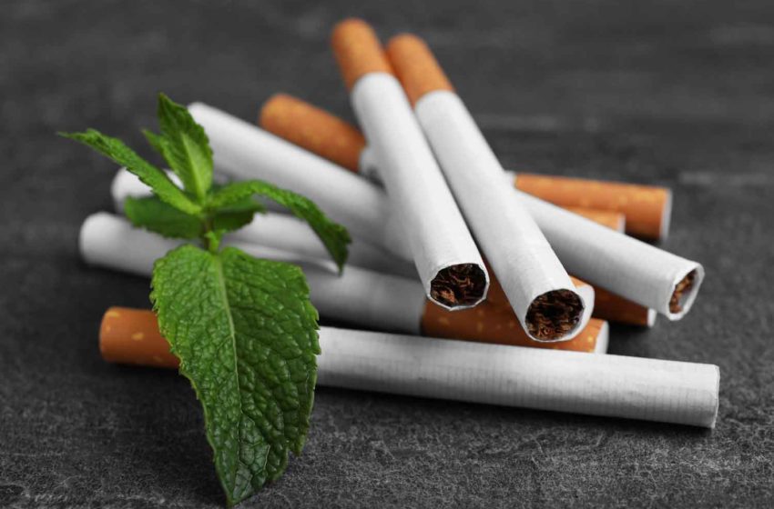  Study: Menthol Ban Could Increase Lung Cancer Rates