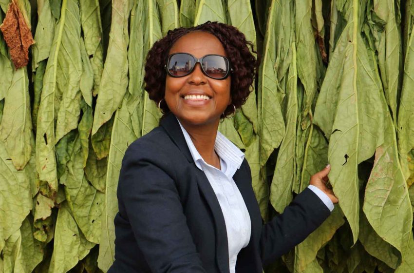  Dahlia Garwe to Leave Tobacco Research Board