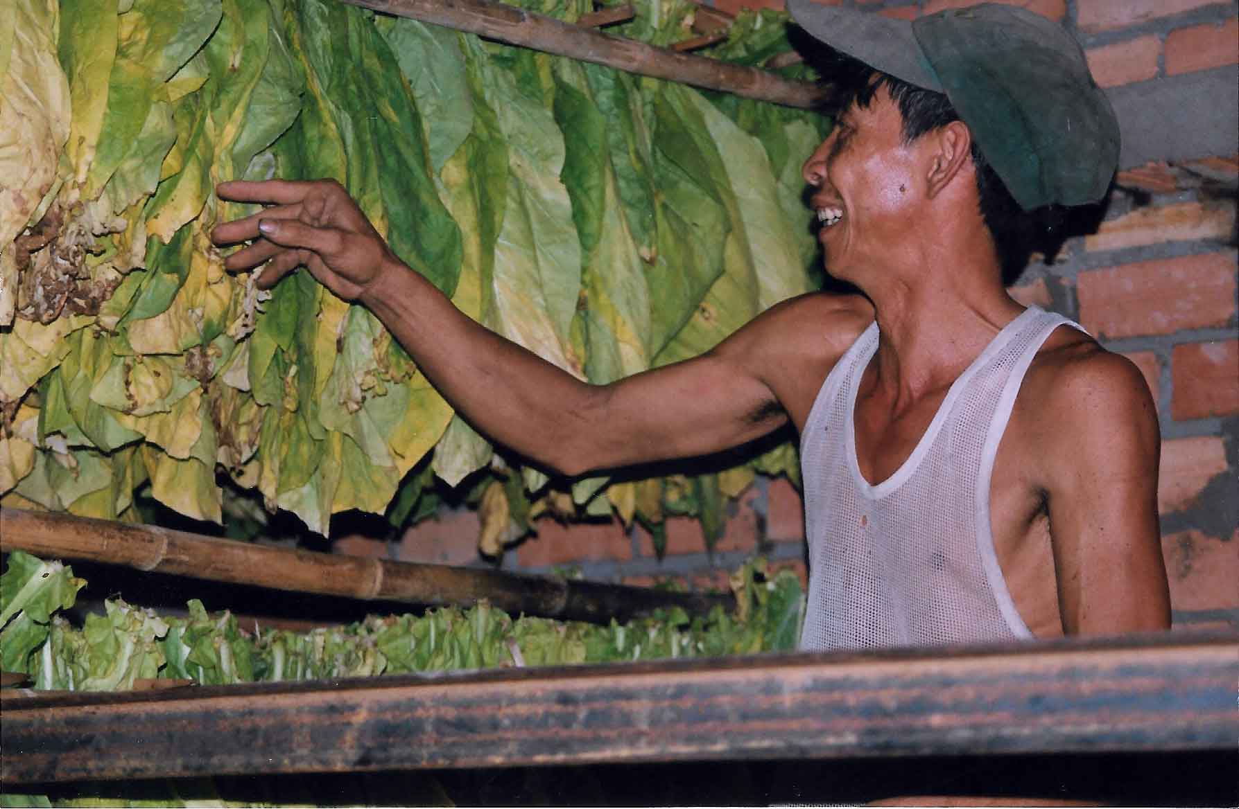 Vietnam Sets Import Quotas For Cambodian Tobacco - Tobacco Reporter